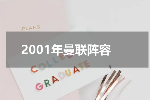 2001年曼联阵容