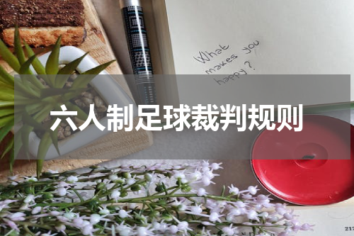 六人制足球裁判规则