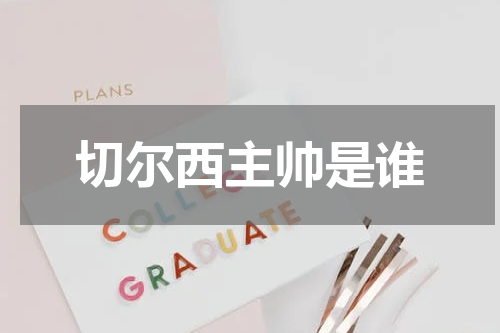 切尔西主帅是谁