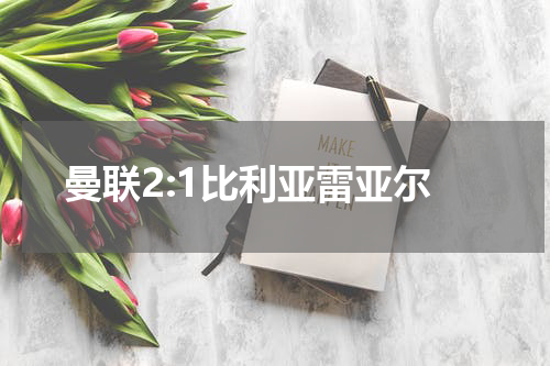 曼联2:1比利亚雷亚尔