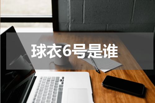 球衣6号是谁