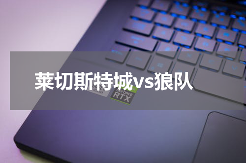 莱切斯特城vs狼队