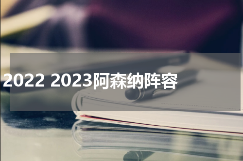 2022 2023阿森纳阵容