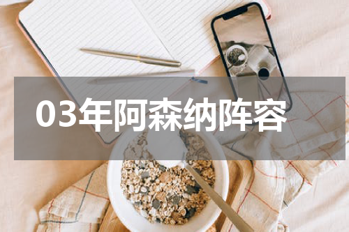03年阿森纳阵容