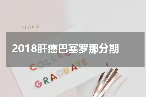 2018肝癌巴塞罗那分期