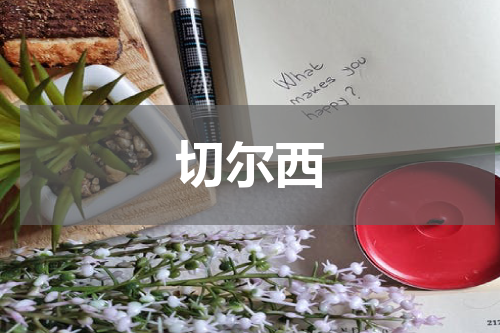 切尔西