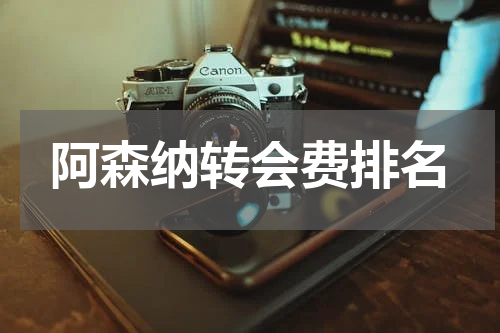 阿森纳转会费排名