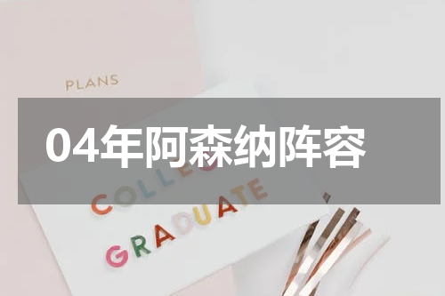 04年阿森纳阵容