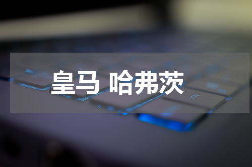 皇马 哈弗茨