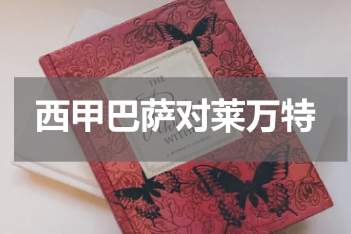西甲巴萨对莱万特