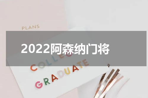2022阿森纳门将