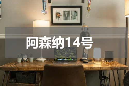 阿森纳14号