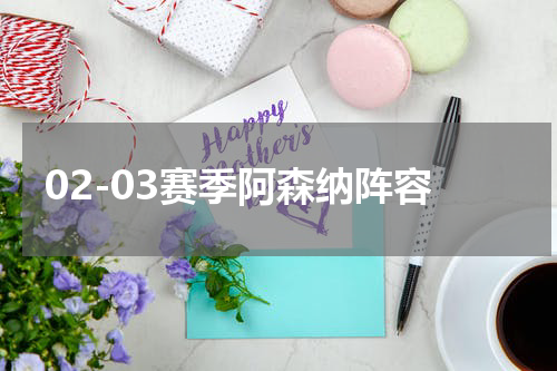 02-03赛季阿森纳阵容