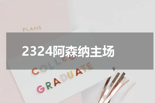 2324阿森纳主场