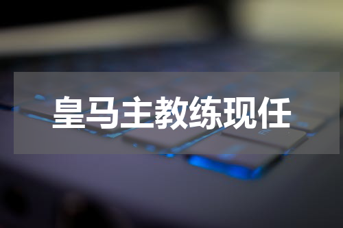 皇马主教练现任