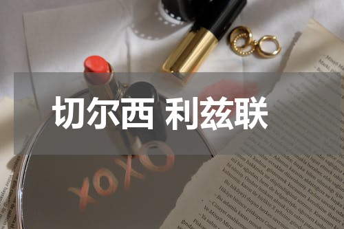 切尔西 利兹联