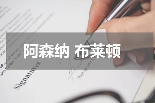 阿森纳 布莱顿