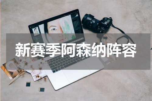 新赛季阿森纳阵容