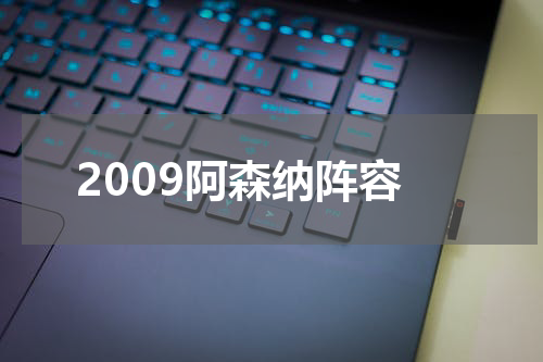 2009阿森纳阵容