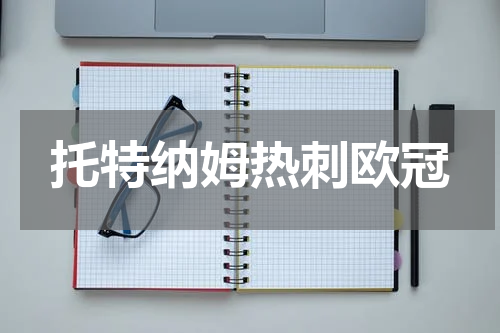 托特纳姆热刺欧冠