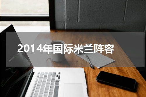 2014年国际米兰阵容