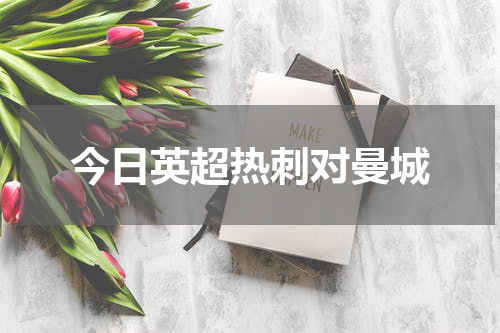 今日英超热刺对曼城