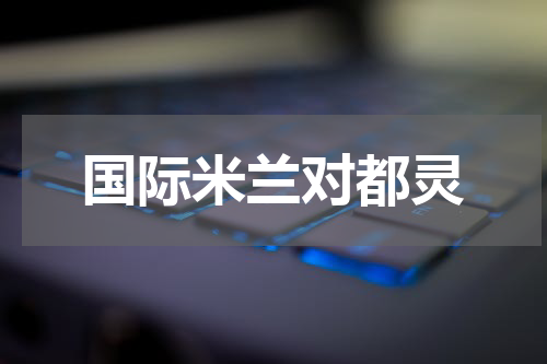 国际米兰对都灵