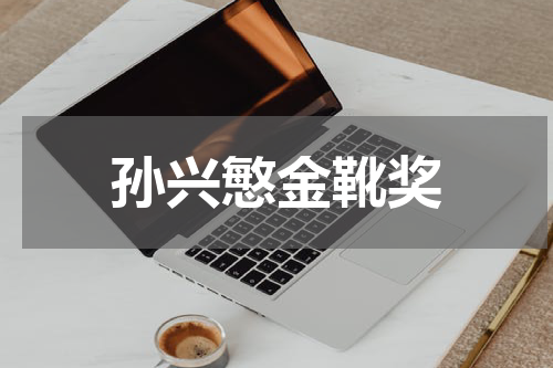 孙兴慜金靴奖