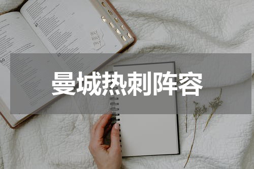 曼城热刺阵容