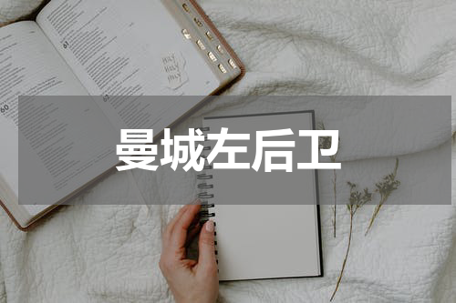 曼城左后卫