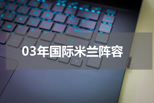 03年国际米兰阵容