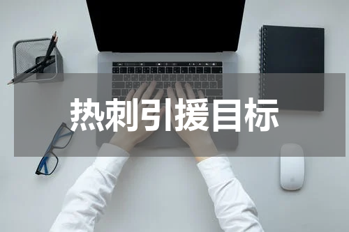 热刺引援目标