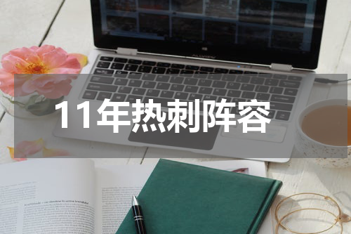 11年热刺阵容