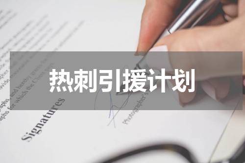 热刺引援计划