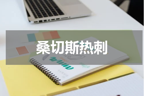 桑切斯热刺
