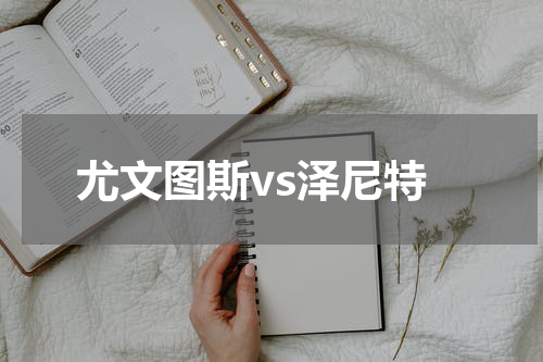 尤文图斯vs泽尼特