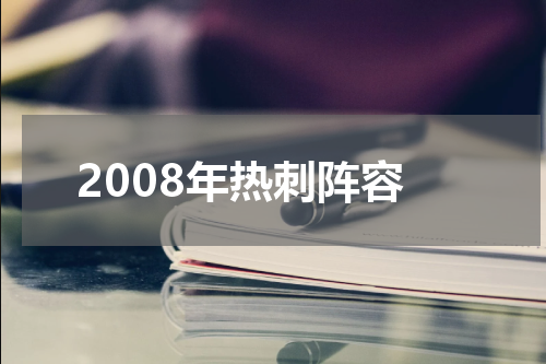 2008年热刺阵容
