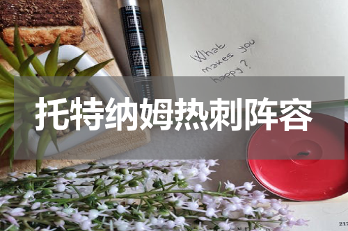 托特纳姆热刺阵容