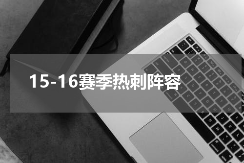 15-16赛季热刺阵容