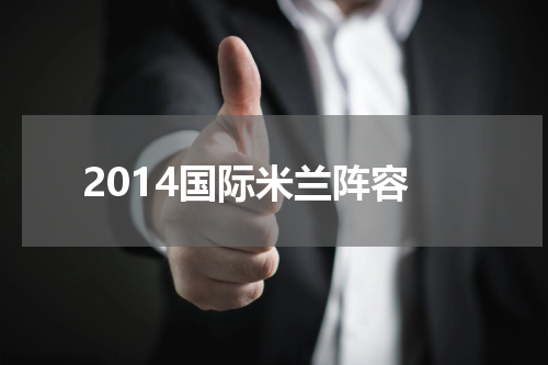 2014国际米兰阵容