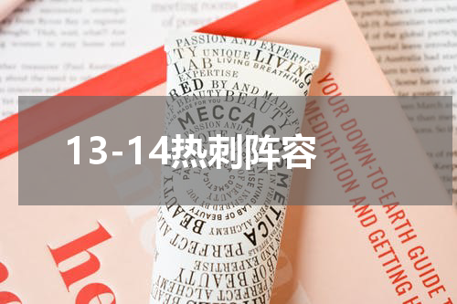 13-14热刺阵容