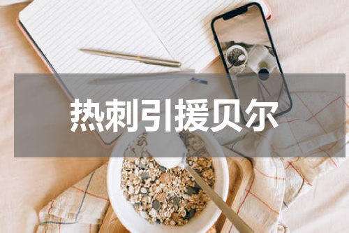 热刺引援贝尔