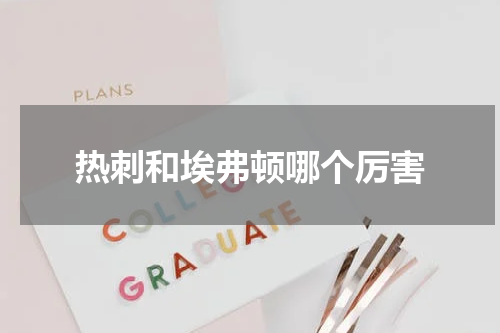 热刺和埃弗顿哪个厉害