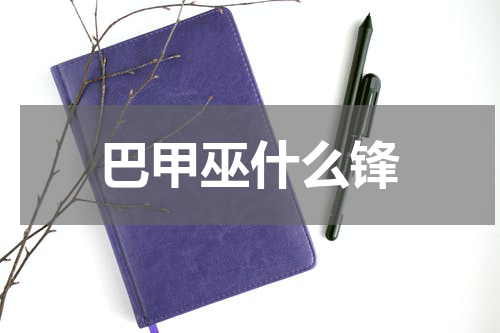 巴甲巫什么锋
