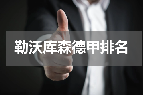 勒沃库森德甲排名