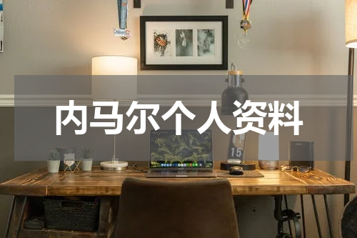 内马尔个人资料