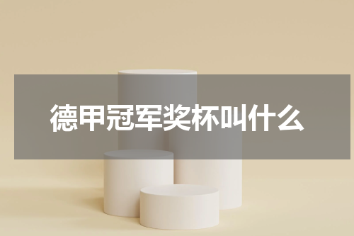 德甲冠军奖杯叫什么