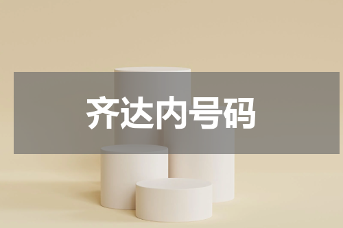 齐达内号码