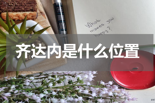 齐达内是什么位置