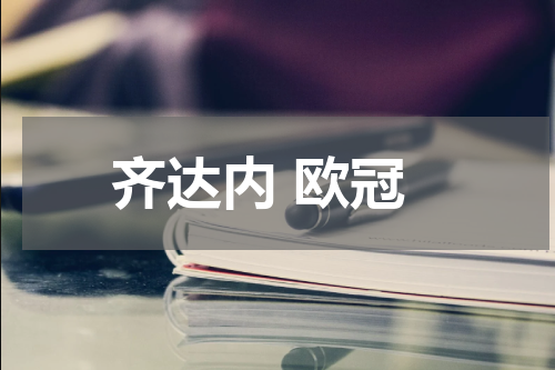齐达内 欧冠